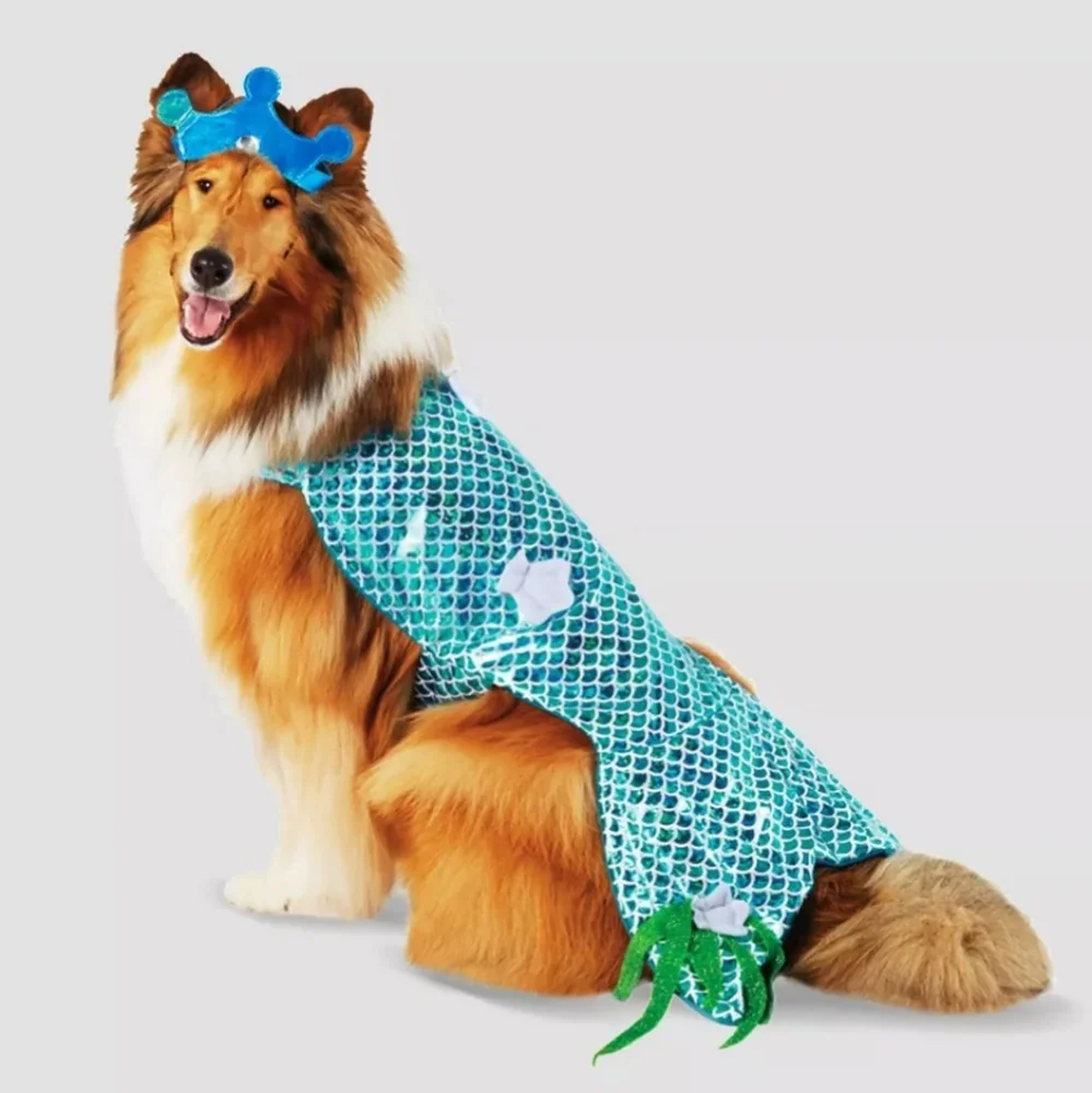 Dog MEDIUM Mermaid Halloween Dog Costume Hyde and Eek MEDIUM Up to 50 lbs